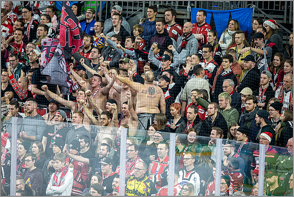 DEL;  Koelner Haie - Fischtown Pinguins Bremerhaven; Koeln, 22.12.2019